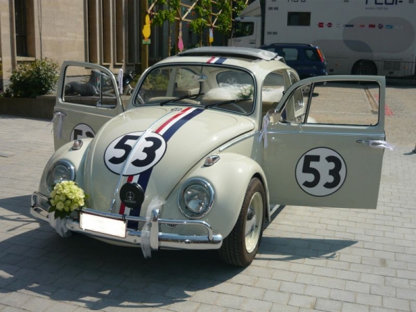 CHOUPETTE COX VW HERBIE 53